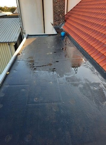 118816167 343147693495120 6384302356621528638 N